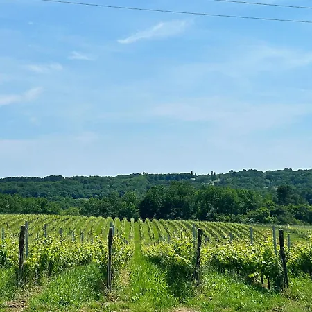 La Maison De L'architecte - Proche Bordeaux 3* Salleboeuf
