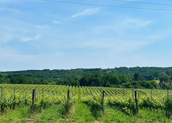 La Maison De L'architecte - Proche Bordeaux 3* Salleboeuf